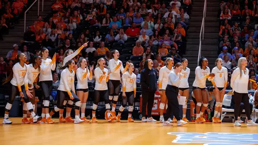 Volleyball Celebration