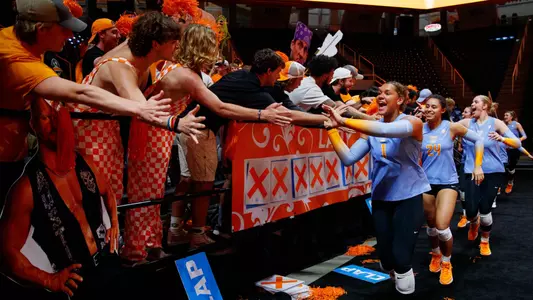 Volleyball fans