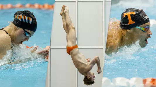 McSharry, Hattie, Crooks