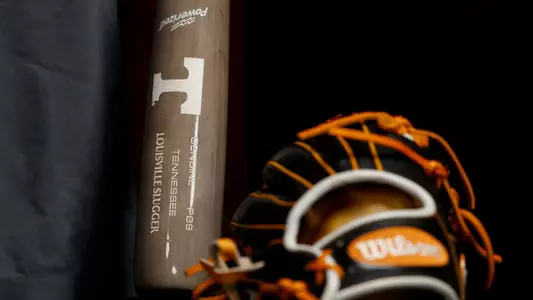 Baseball Bat and Glove