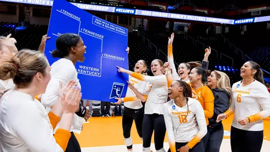 Sweet Sixteen Bound