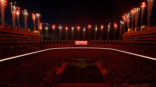 Neyland Stadium At Night
