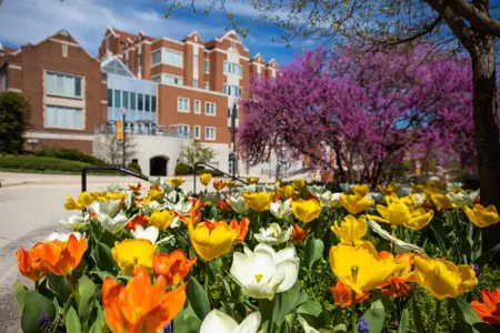 Big Orange Represented By 130 On Spring SEC Honor Roll