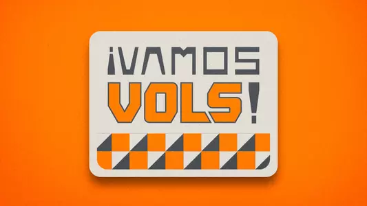 Vamos Vols