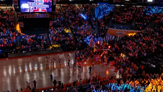 Crowd Shot vs. LSU