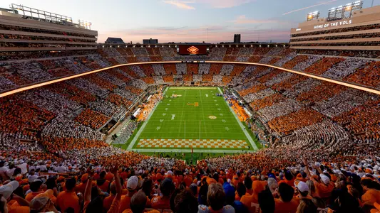 CheckerNeyland 2024