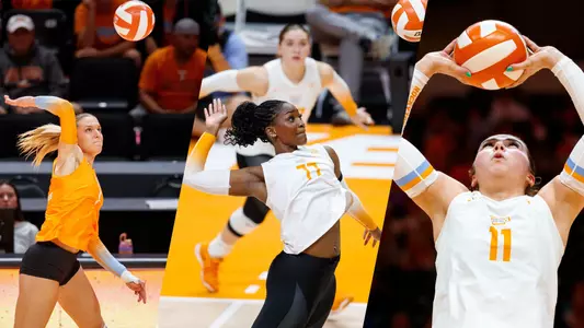 AVCA All-Region Web Graphic