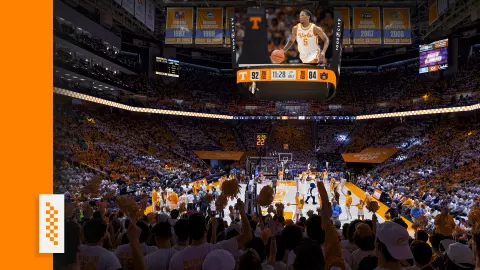 2025-26 Food City Center renovation image