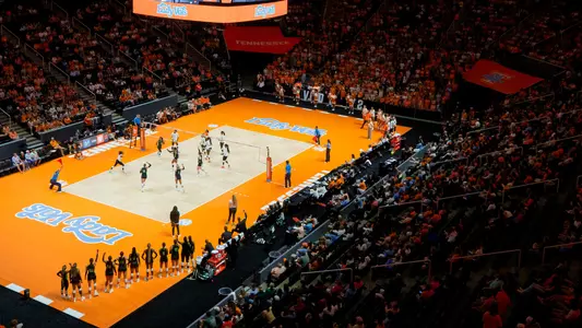 Crowd Shot at Food City Center During Match