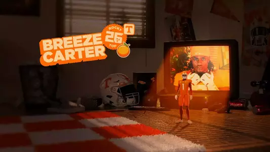 Breeze Carter Hero Image