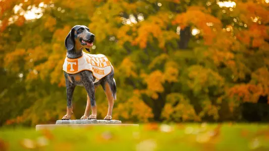 2024 Fall SEC Academic Honor Roll photo