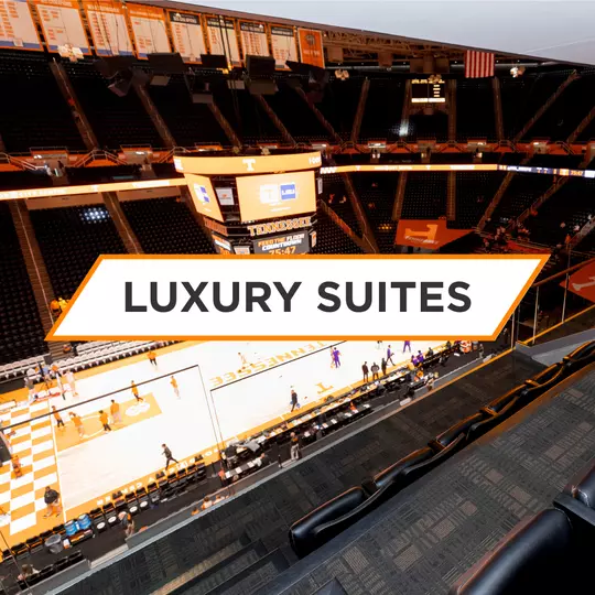 Luxury Suites