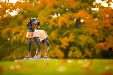 SEC Fall Academic Honor Roll