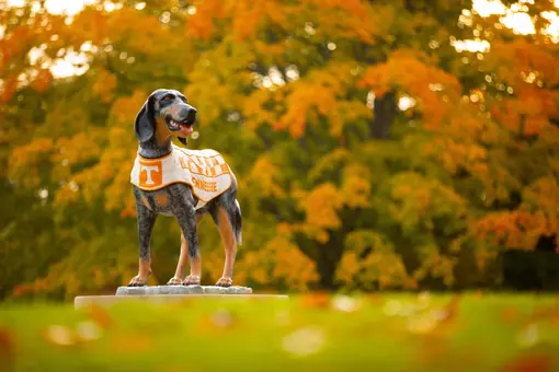 SEC Fall Academic Honor Roll