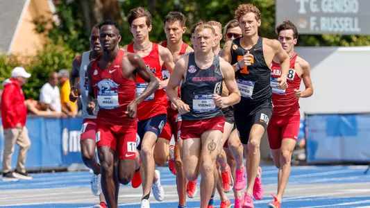 Gavin Genisio - 2025 Bio Cover