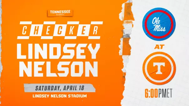 Checker LNS BSI Graphic