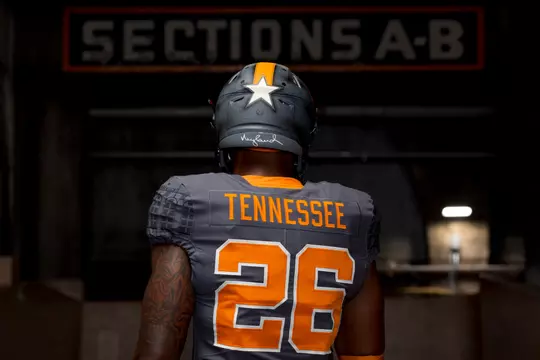 NeylandSmokeyGrey1