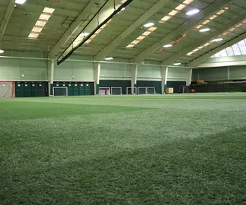 Turf
