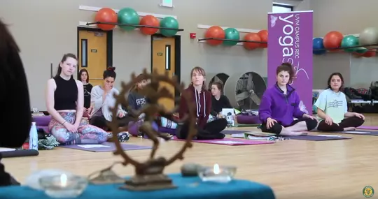 Yoga teacher training video image