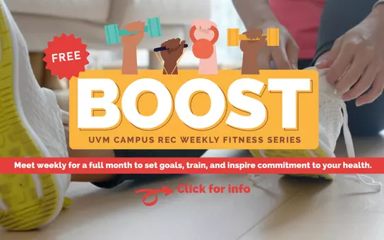 BOOST logo
