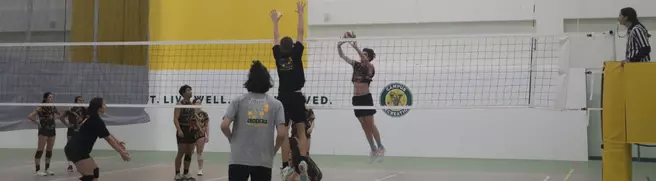 Open Rec