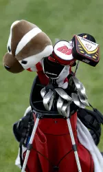 Bucky Badger headcover