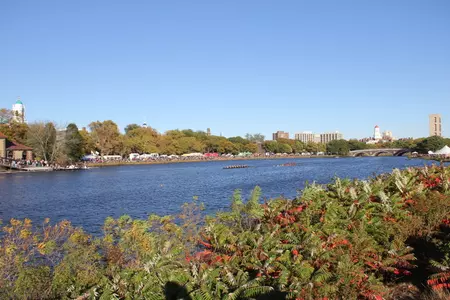 Championship women's eight races at the 2013 Head of the Charles in Boston on Oct. 20, 2013 (Paul Capobianco photo)