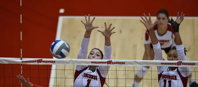 carlini and williams