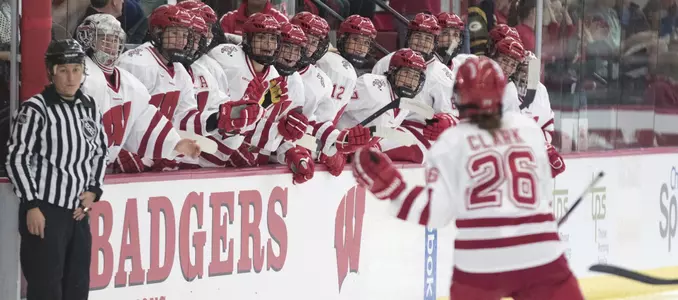 Badgers celebration