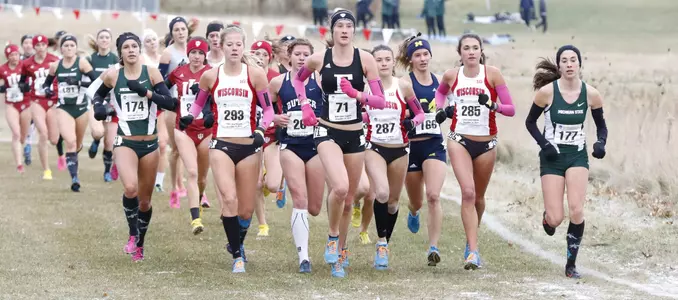 Badgers cross country runners