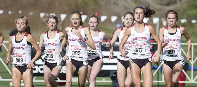 Badgers at the start