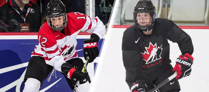 Turnbull and Mikkelson-Reid