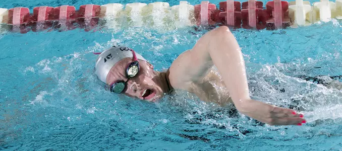 Dana Grindall - Training