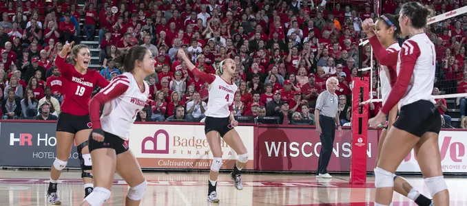 The Badger volleyball team celebrates on the court.
