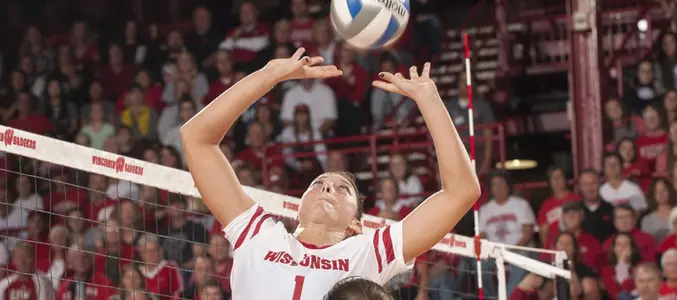 Lauren Carlini sets up the ball.
