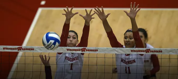 Carlini and Williams Block Headline