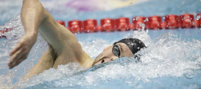 Matt Hutchins Headline