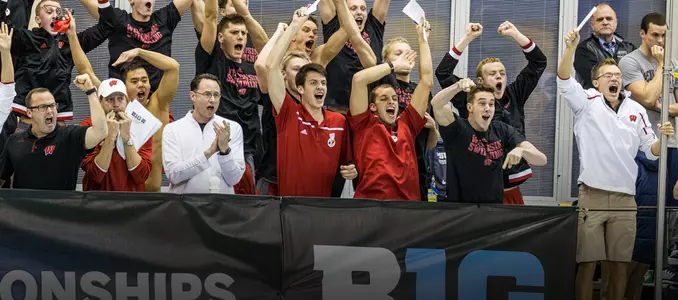 Wisconsin men cheer on at 2016 Big Ten Swimming and Diving Championships