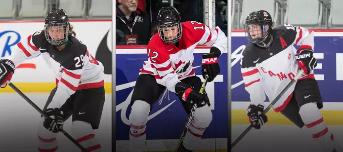 Clark, Mikkelson, Turnbull