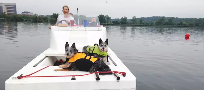 Bebe Bryans with dogs no Lake Mendota