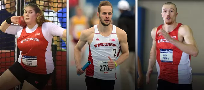 Card, Mudd and ZIemek