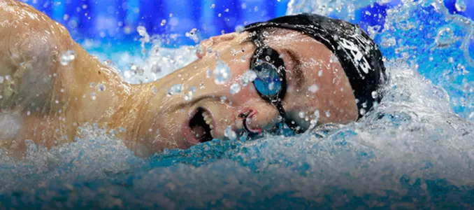 matt hutchins headline