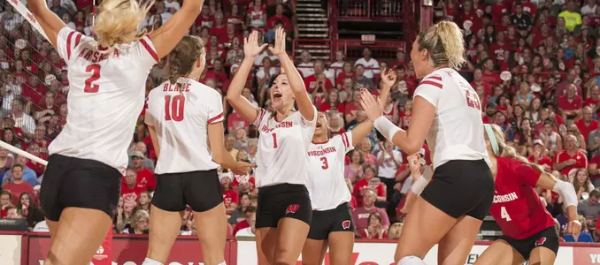 The Badger volleyball team celebrates on the court.