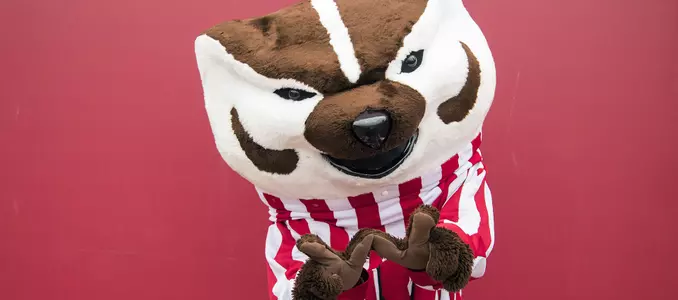 Bucky Badger 2017
