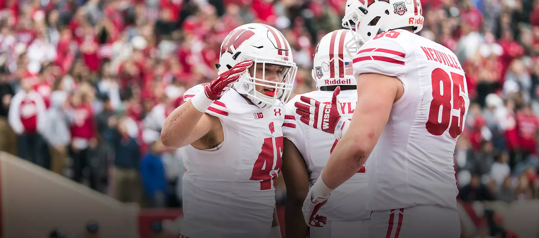 Photo of Alec Ingold football vs. Indiana 2017