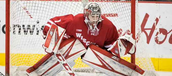 Berry Minnesota no gradient