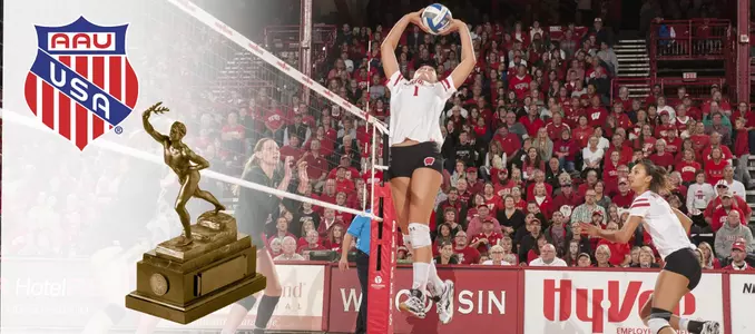 Carlini Sullivan Award graphic