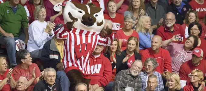 Bucky Badger in the crowd during a volleyball match in the UW Field House.