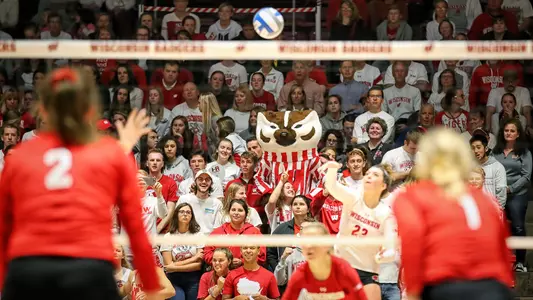Bucky Badger in the crowd at volleyball 2018 at the UW Field House
