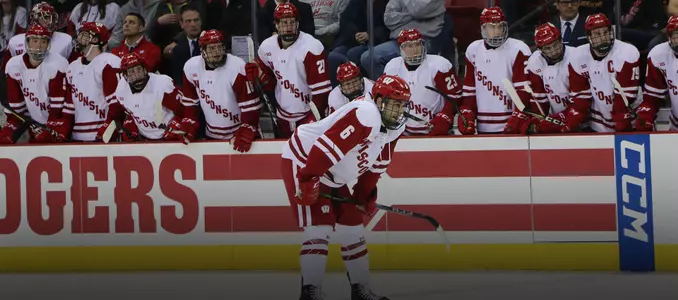 Peter Tischke and Badger bench